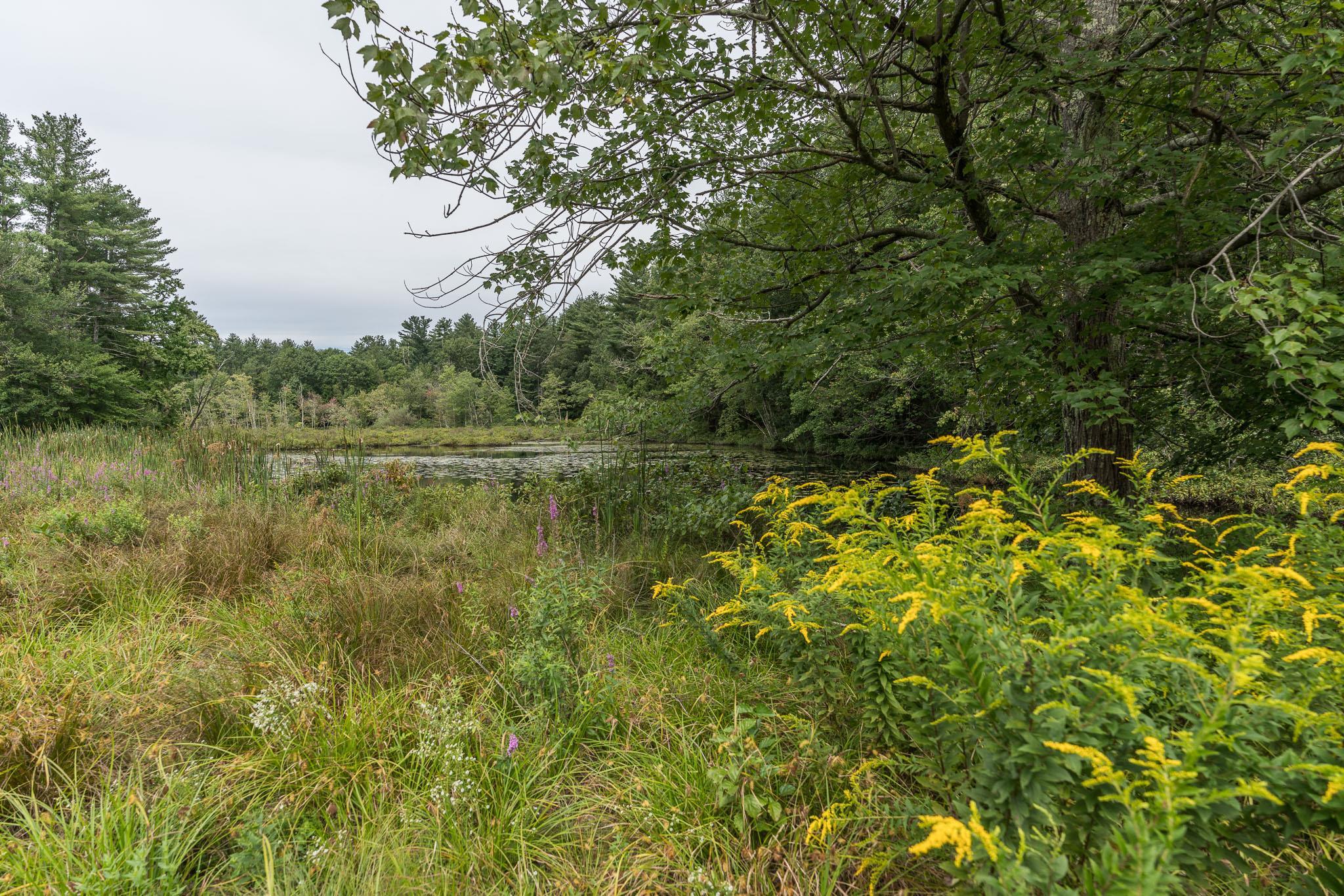61 Duston Road Salem, NH 03079 - Photo 10 of 37