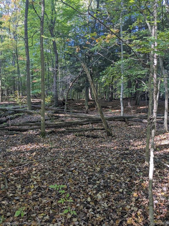 7168 Willis Road Brown City, MI 48416 - Photo 10 of 24