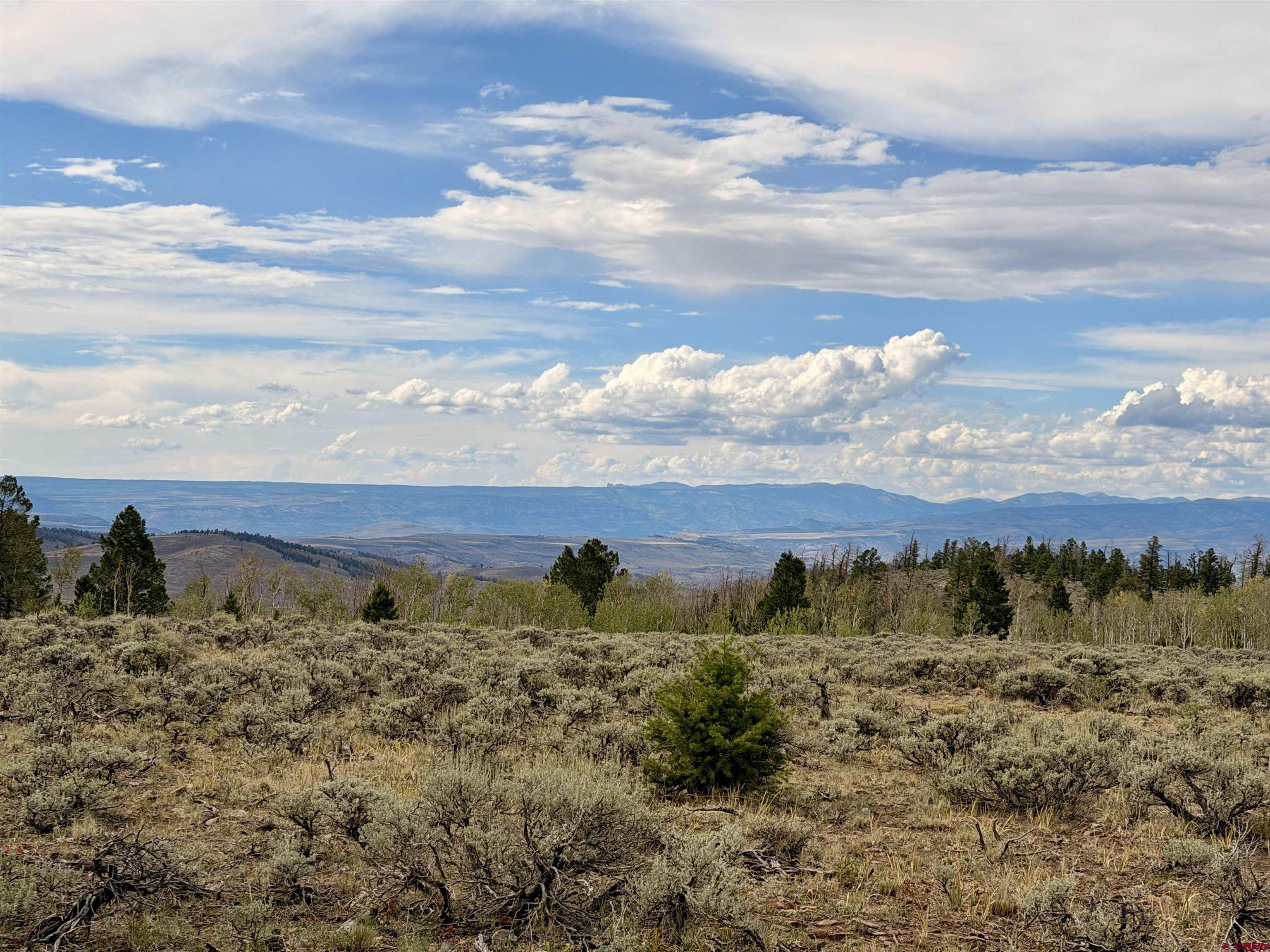 149 Rd Powderhorn Co 81230 Road Powderhorn, CO 81243 - Photo 20 of 40 Gallery Image 20