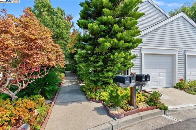 a view of a garden with plants