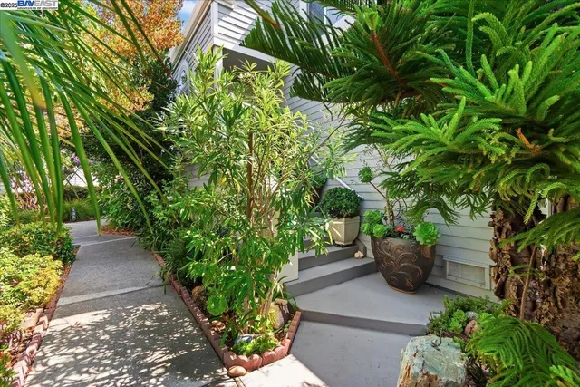 a view of a house with potted plants