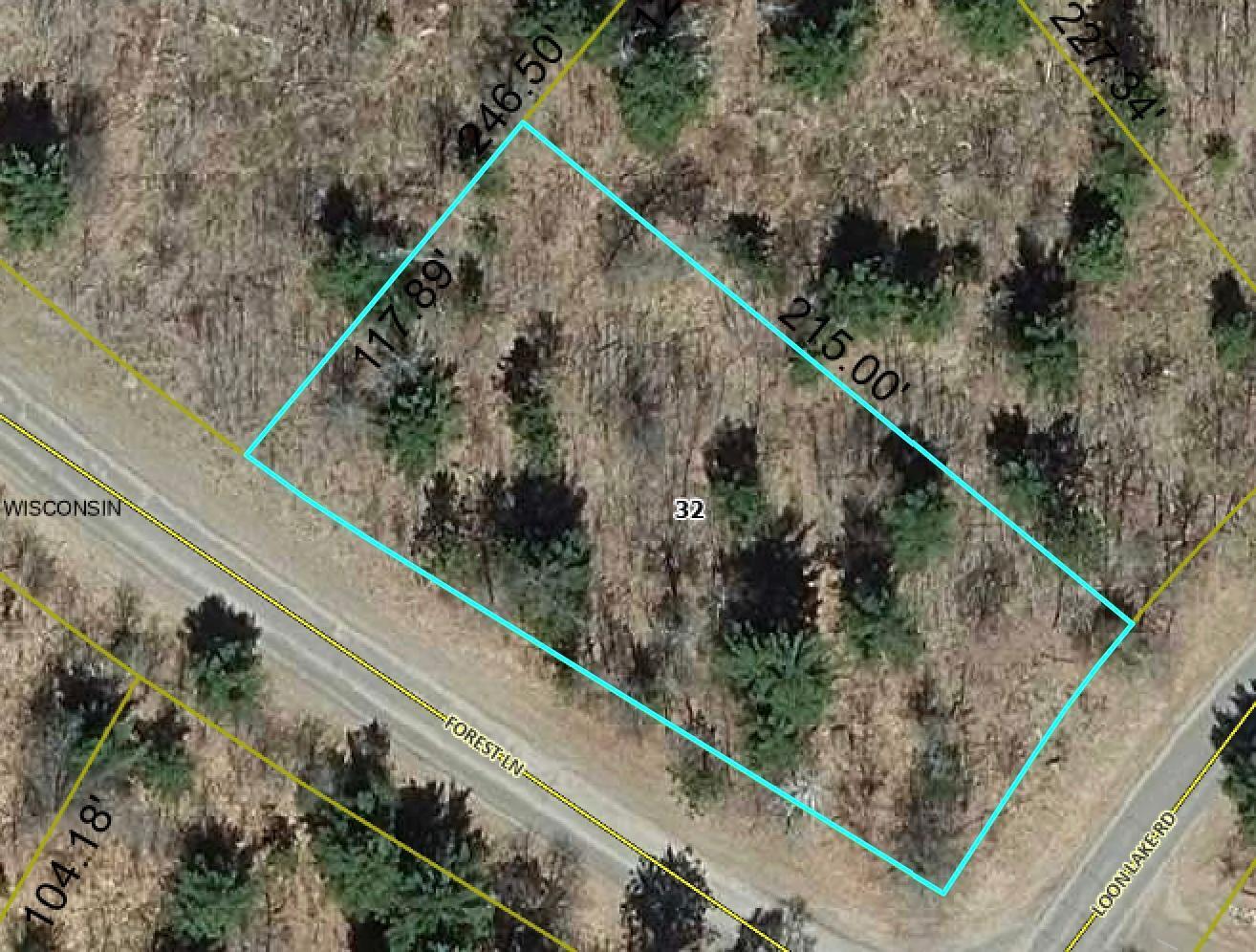 Lot 17 Loon Lake Road Danbury, WI 54830 - Photo 1 of 1 Gallery Image 1
