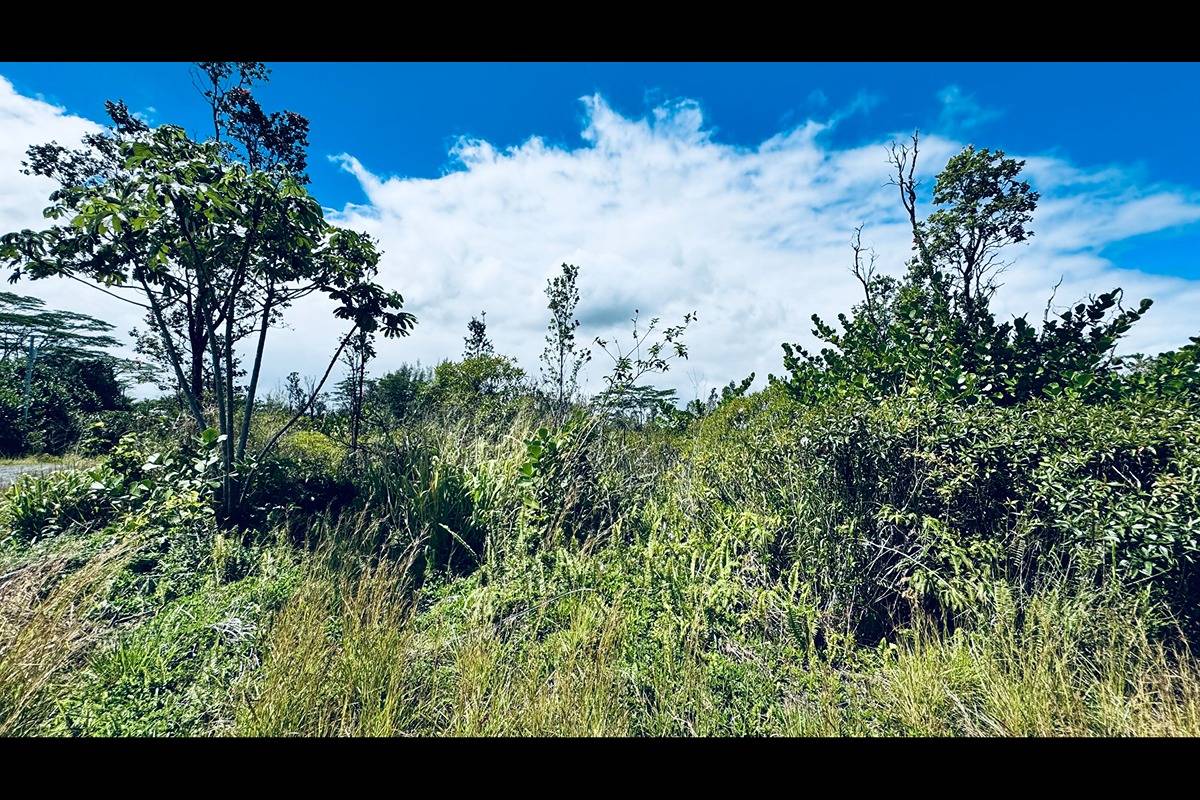 3056 Loke Road Keaau, HI 96749 - Photo 13 of 23 Gallery Image 13