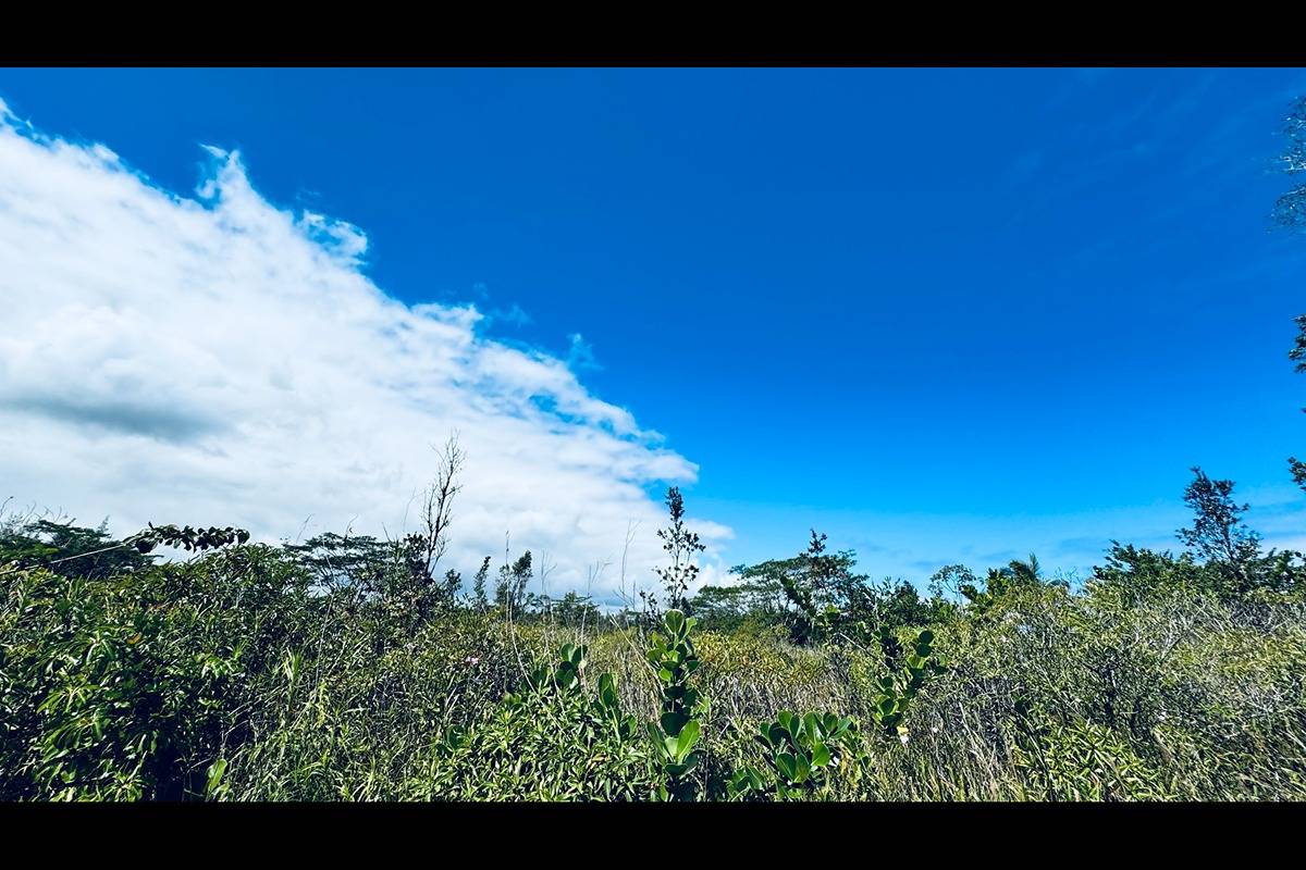 3056 Loke Road Keaau, HI 96749 - Photo 2 of 23 Gallery Image 2