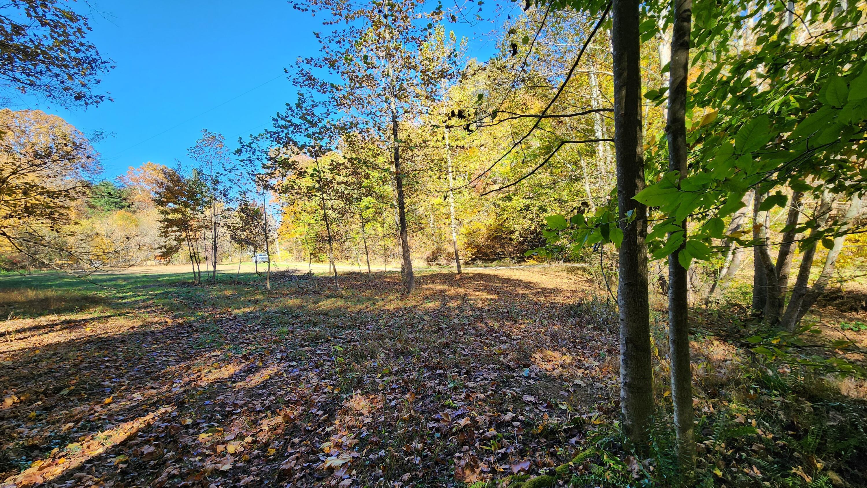 0 Vandergriff Road, Unit TRACT 6) South Bloomingville, OH 43152 - Photo 44 of 59 20231023_141653