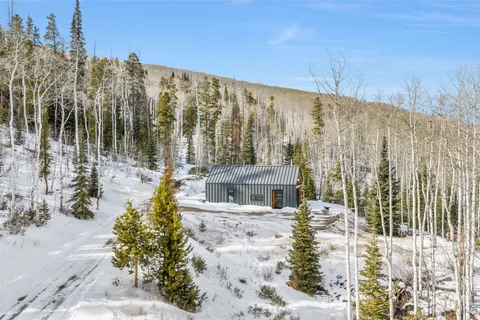 $1,250,000 | 24700 Lone Tooth Trail, Oak Creek, CO 80467