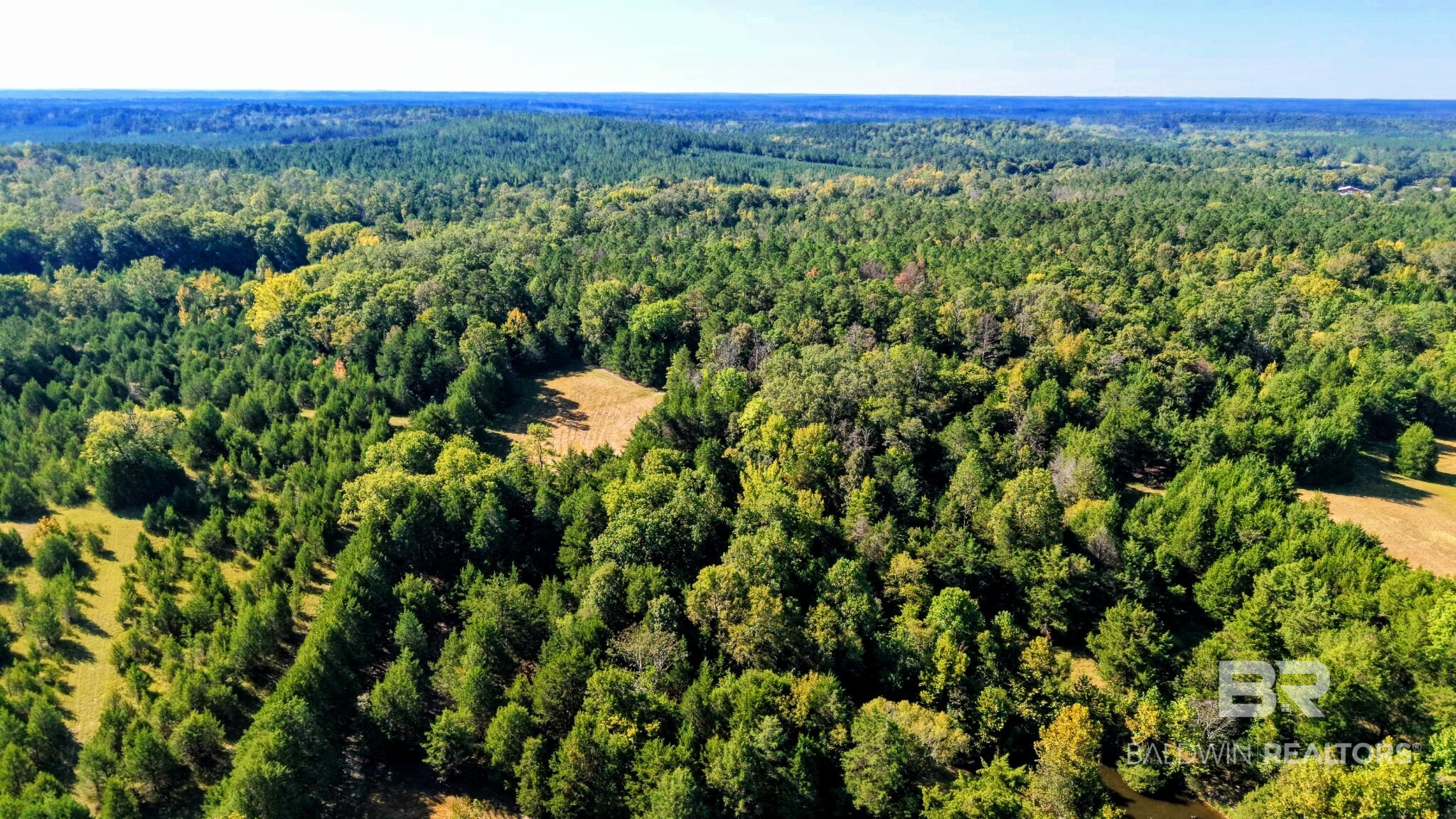 0 Highway 17 Millry, AL 36558 - Photo 40 of 73 Gallery Image 40