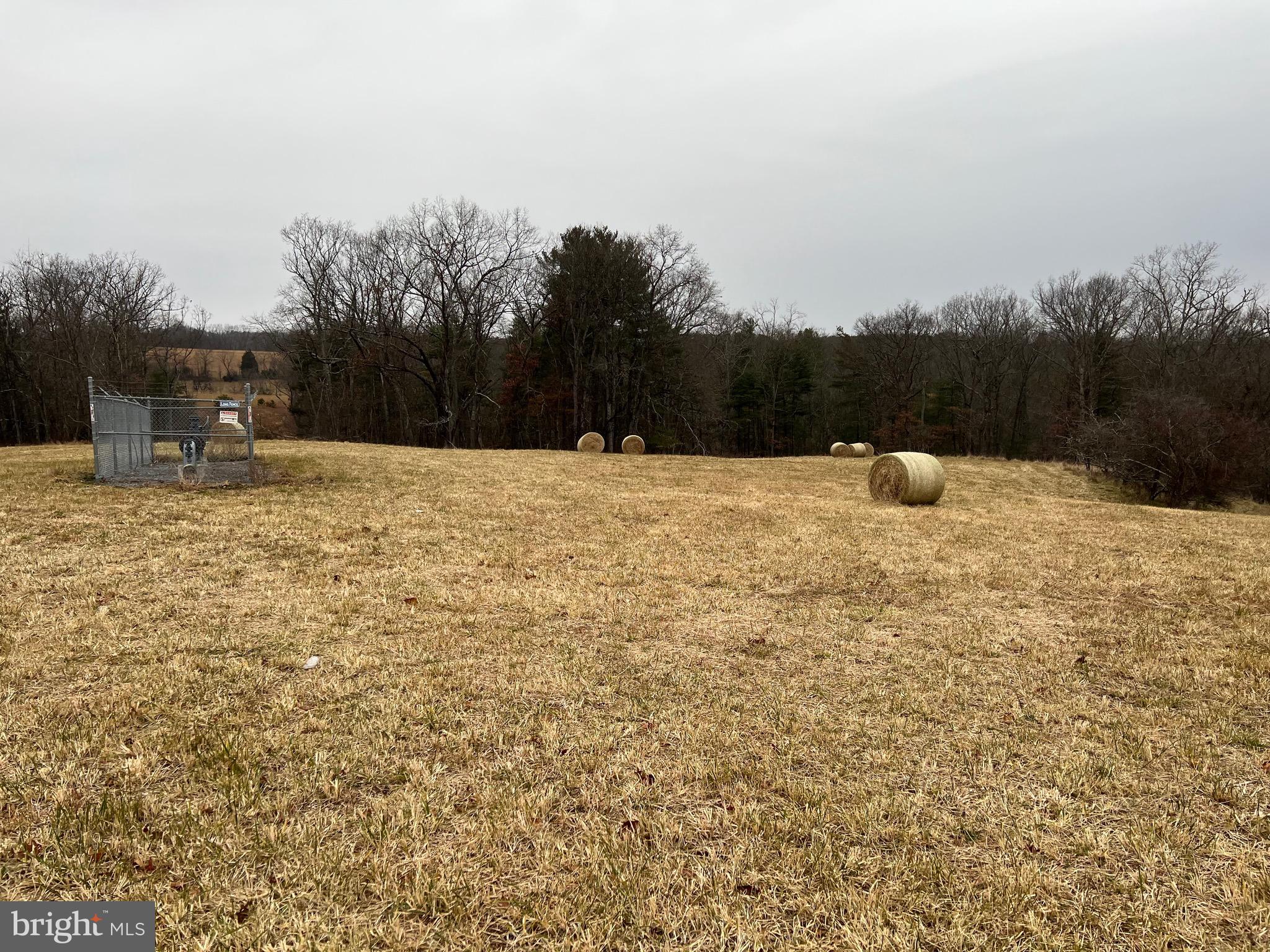 a view of a yard with trees
