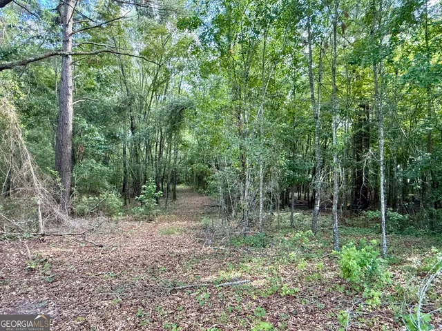 a view of outdoor space and garden