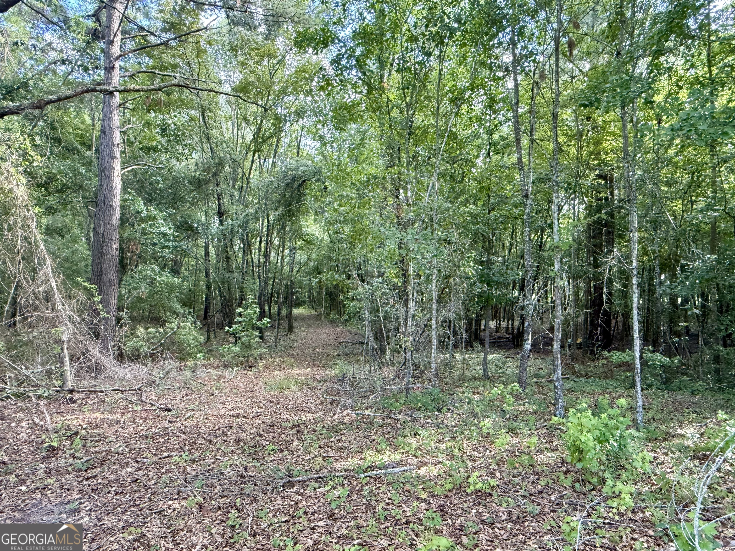 1430 Old Poor Robin Road Sylvania, GA 30467 - Photo 24 of 30 a view of outdoor space and garden