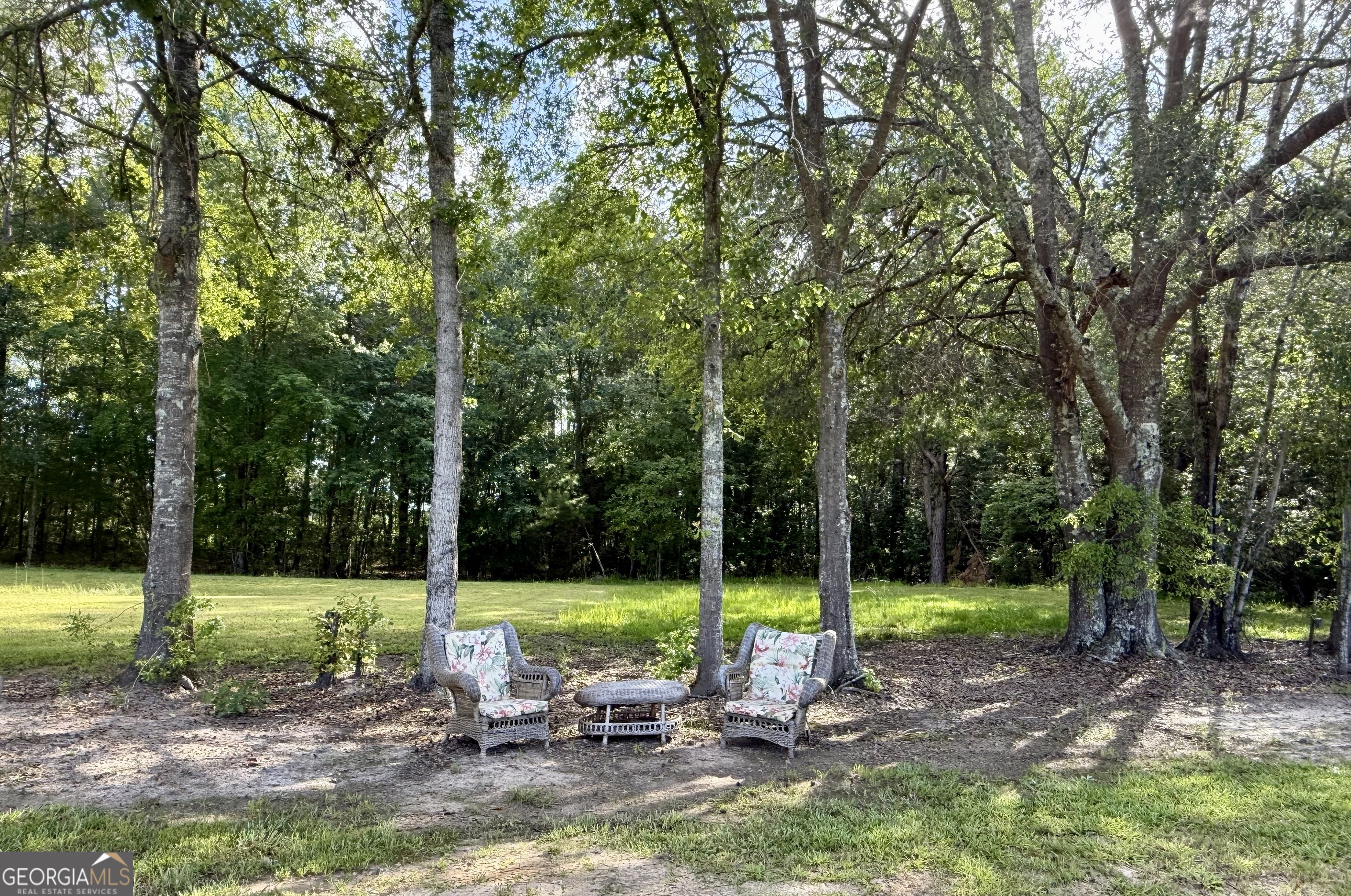 1430 Old Poor Robin Road Sylvania, GA 30467 - Photo 25 of 30 a view of a park with large trees