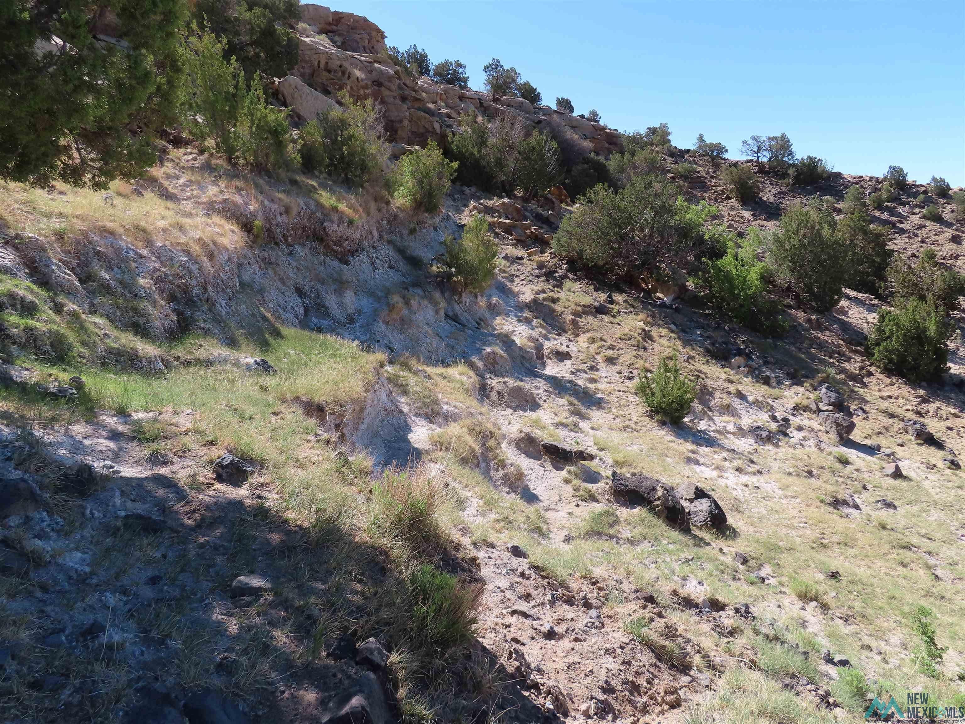 Tbd Rinconada Road San Fidel, NM 87049 - Photo 29 of 40