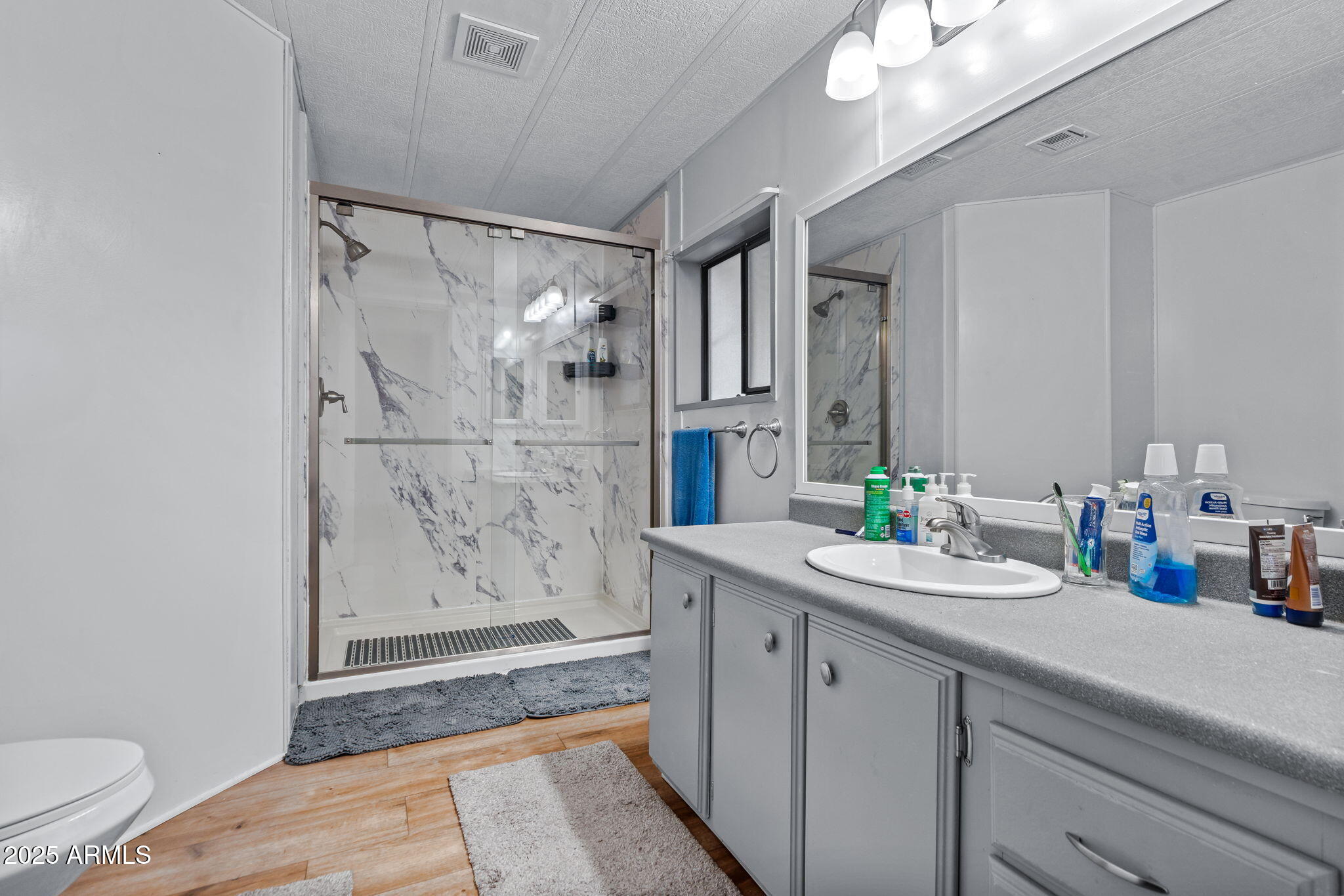 269 North Winchester Road, Unit 63 Apache Junction, AZ 85119 - Photo 8 of 18 a bathroom with a sink a toilet and shower