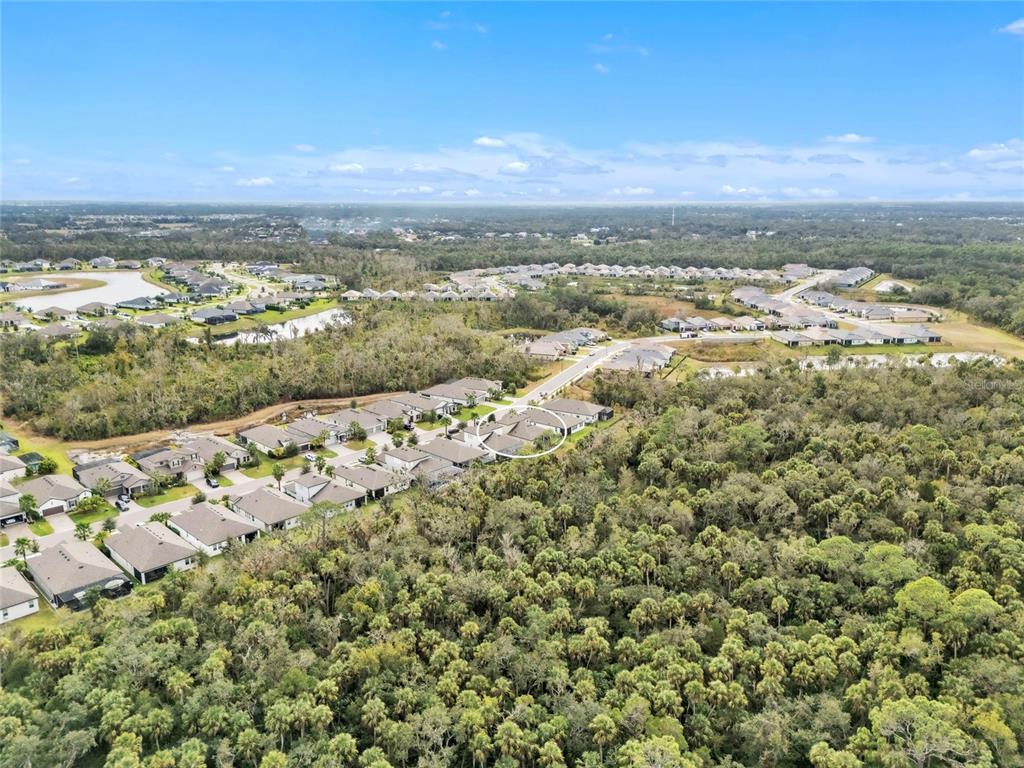 14412 20th Street East Parrish, FL 34219 - Photo 47 of 57