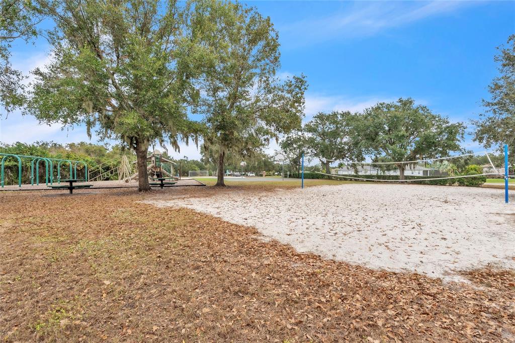 14412 20th Street East Parrish, FL 34219 - Photo 55 of 57 a view of outdoor space with swimming pool and trees