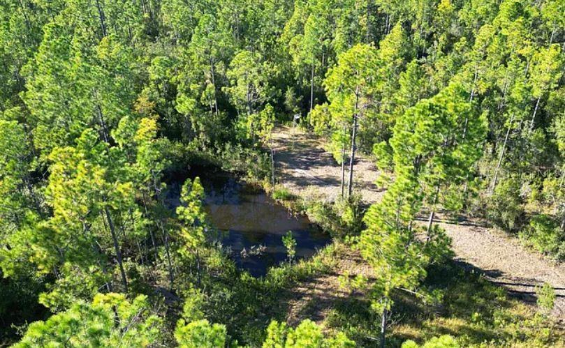 N/a Fountain, FL 32438 - Photo 5 of 5