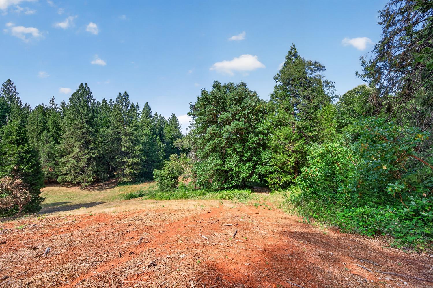 5595 Reservoir Road Georgetown, CA 95634 - Photo 27 of 38 Gallery Image 27