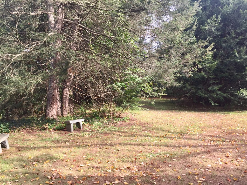 225 Chestnut Street Northampton, MA 01062 - Photo 6 of 25 Gallery Image 6