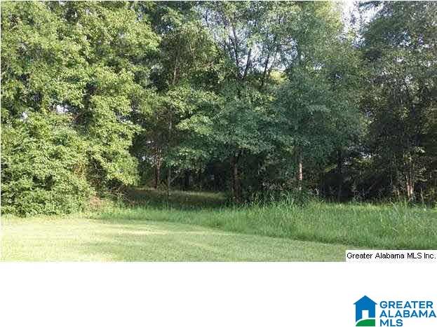 325 Reneau Street Anniston, AL 36207 - Photo 13 of 15