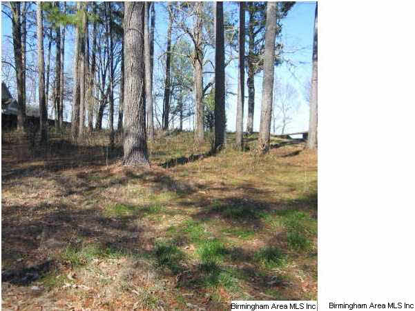 Bluff Road, Unit 11 Tuscumbia, AL 35674 - Photo 3 of 6