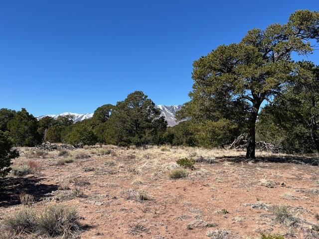 3 B Majors Ranch Road Walsenburg, CO 81089 - Photo 36 of 54