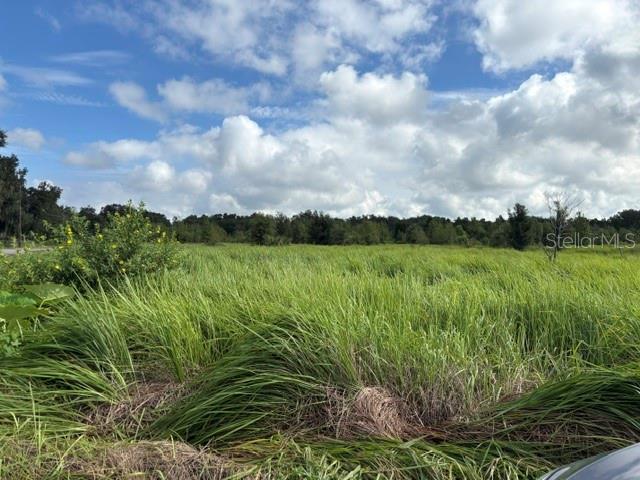 Walter Hunter Road Lithia, FL 33547 - Photo 1 of 9 Gallery Image 1