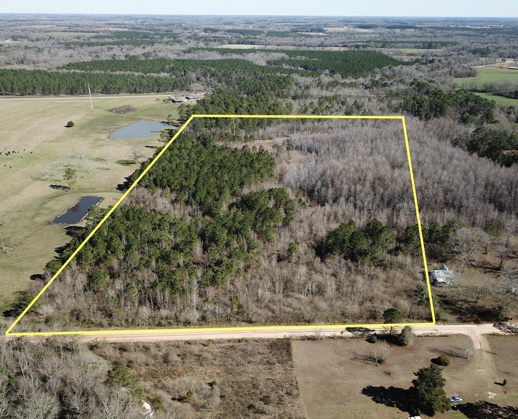15-acres Cotton Box Road Slocomb, AL 36375 - Photo 1 of 1