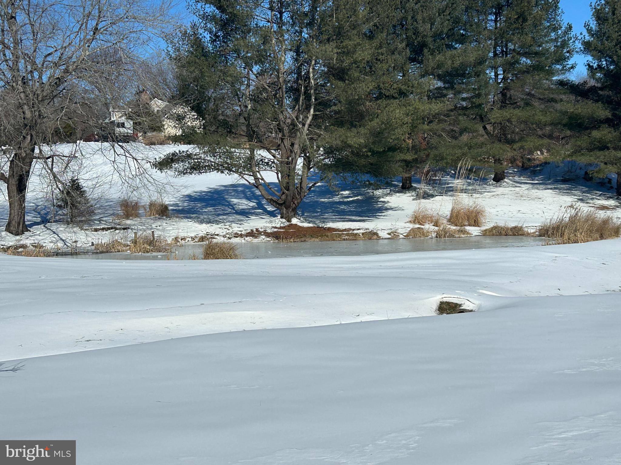 3863 Rectortown Road Marshall, VA 20115 - Photo 5 of 6