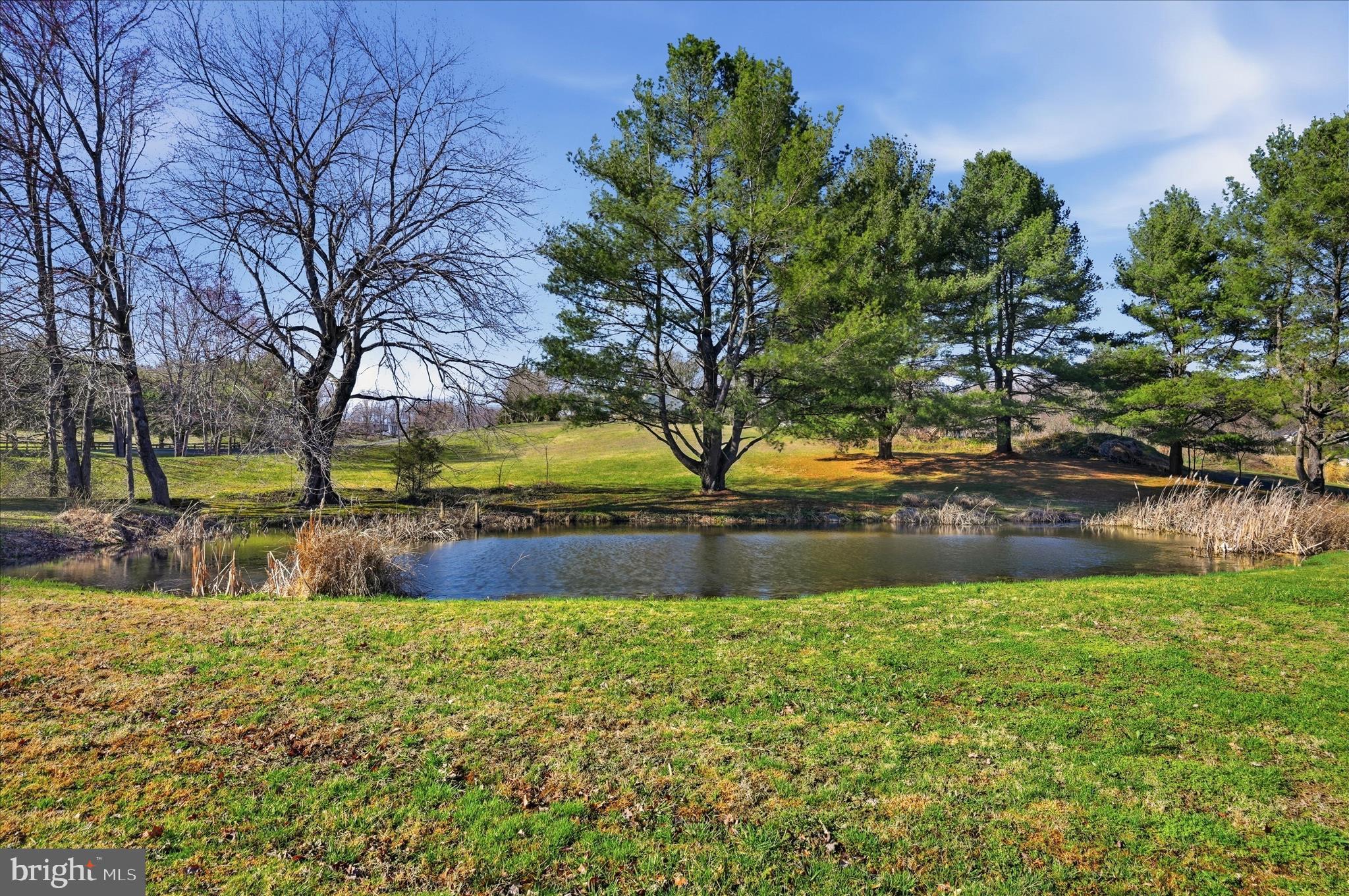 3863 Rectortown Road Marshall, VA 20115 - Photo 63 of 79 Pond