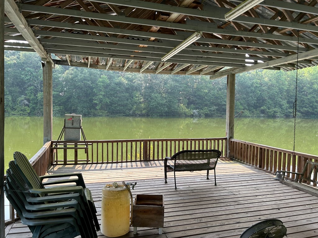 6836 North Co Road Midland City, AL 36350 - Photo 5 of 13