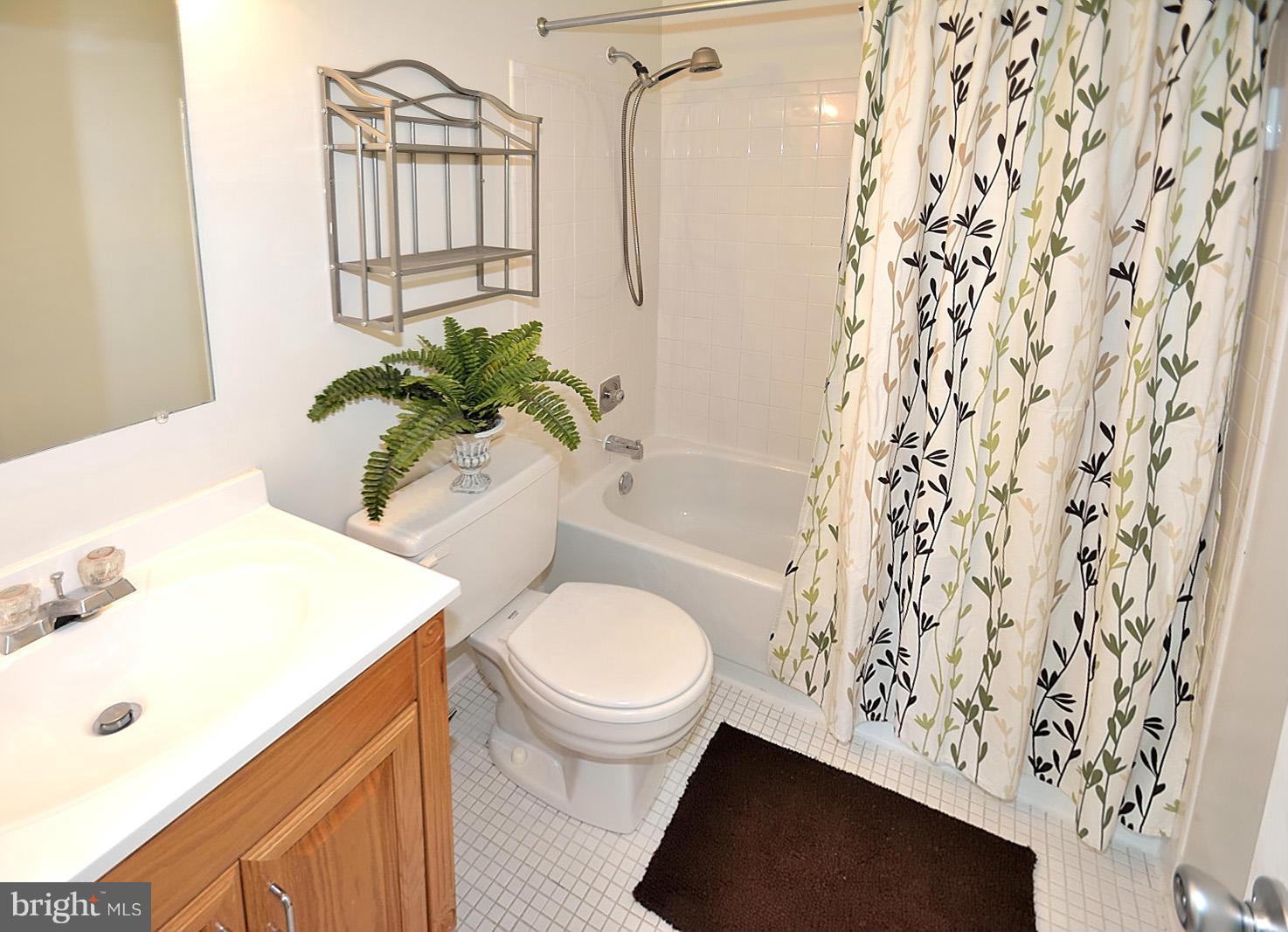 2027 Chadds Ford Drive Reston, VA 20191 - Photo 14 of 25 Bath (Master)
