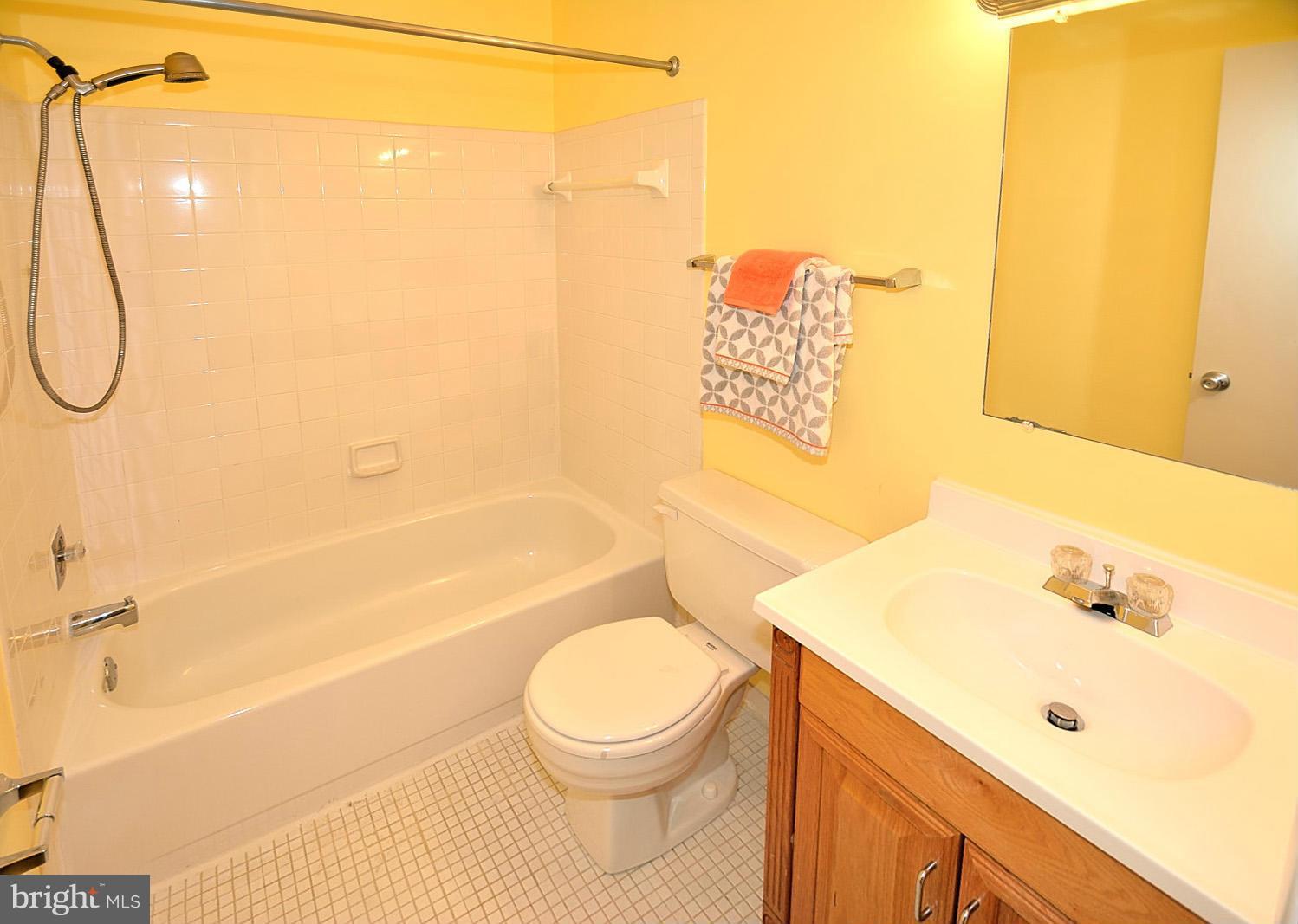2027 Chadds Ford Drive Reston, VA 20191 - Photo 17 of 25 Bath