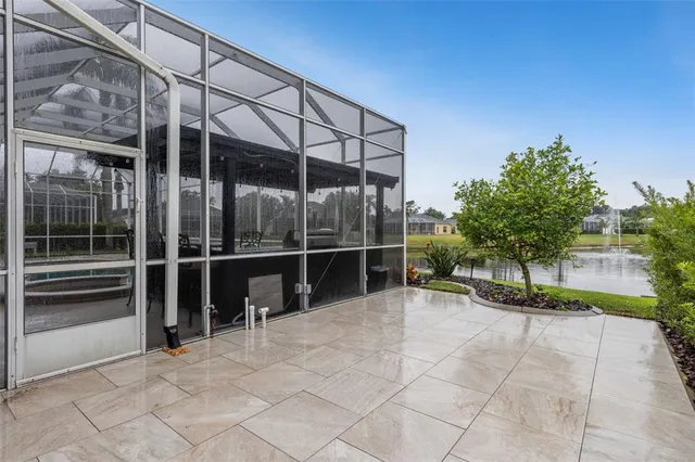 a view of a backyard with plants and palm trees