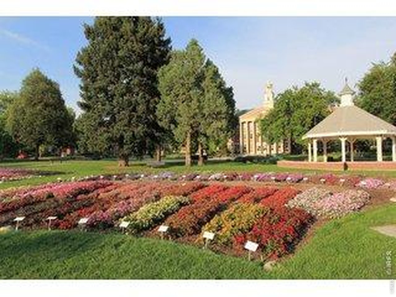 809 East Myrtle Street Fort Collins, CO 80524 - Photo 16 of 23 a view of backyard with green space