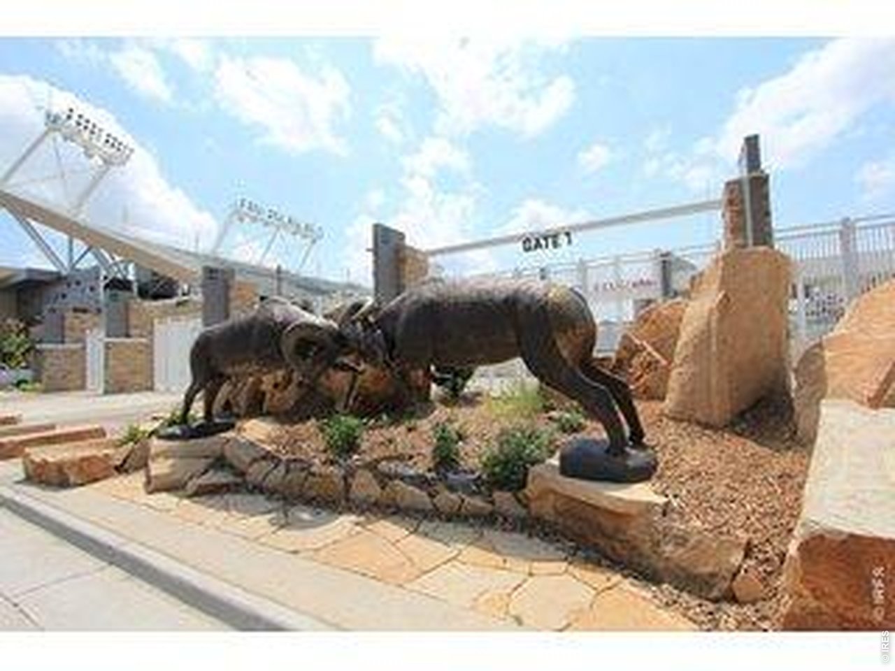 809 East Myrtle Street Fort Collins, CO 80524 - Photo 17 of 23