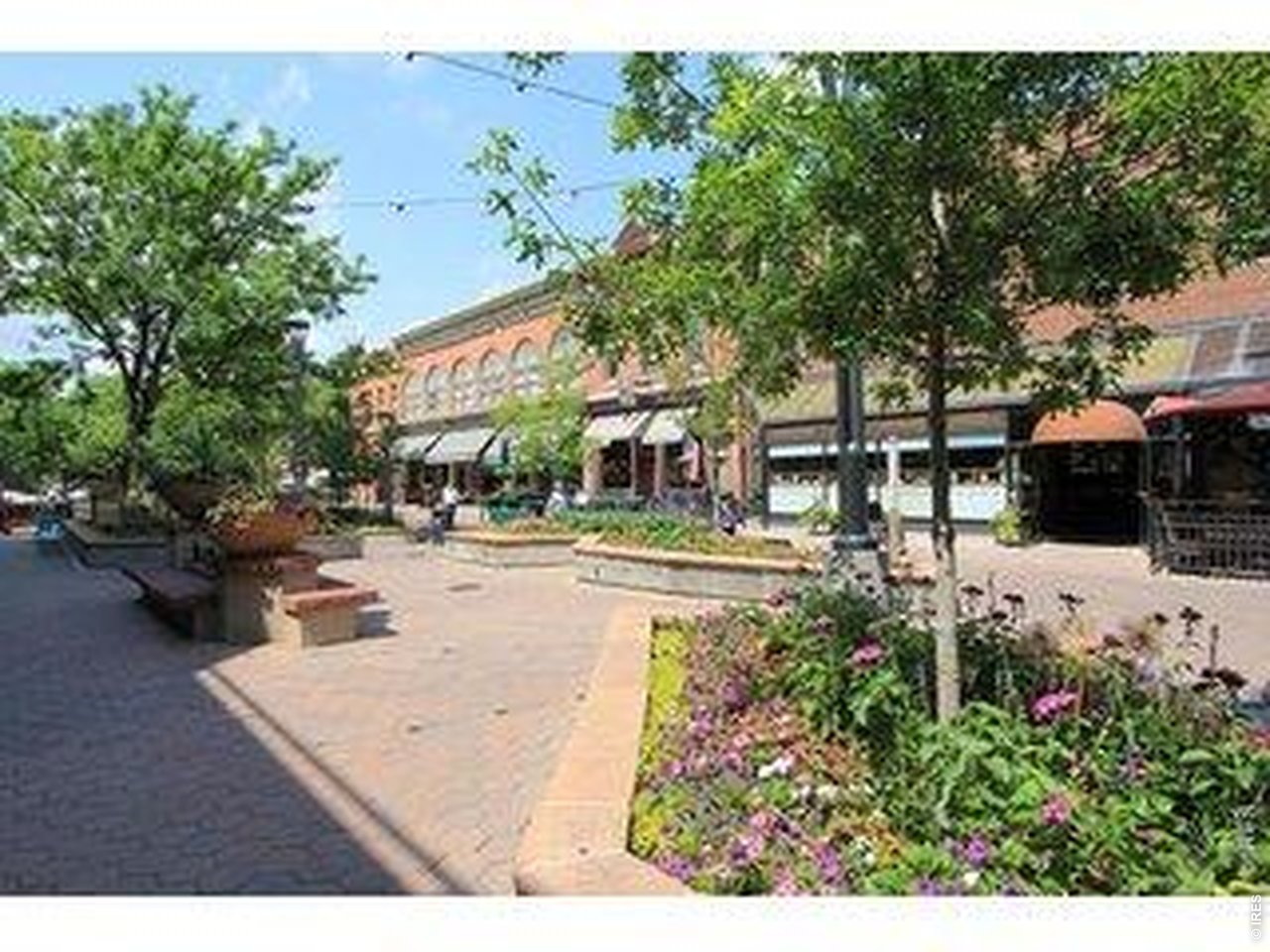 809 East Myrtle Street Fort Collins, CO 80524 - Photo 20 of 23 a view of outdoor space with garden