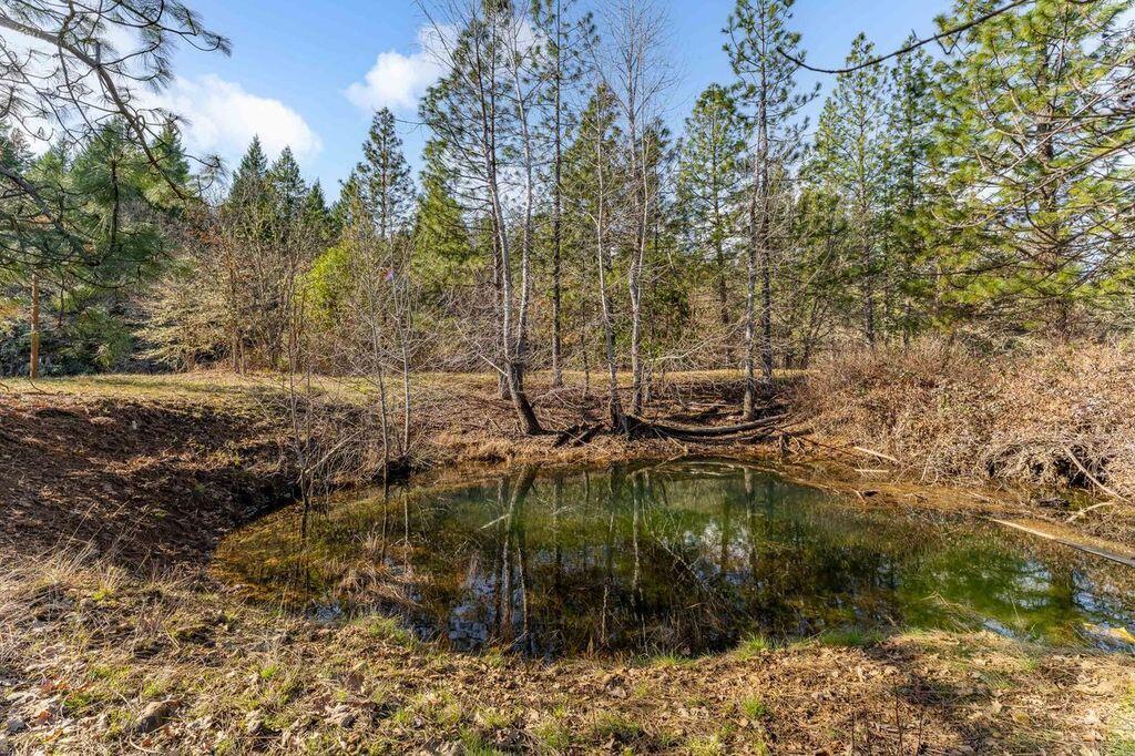 2574 Rockydale Road Cave Junction, OR 97523 - Photo 30 of 43 r15