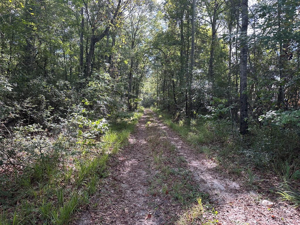 Undisclosed Address Ozark, AL 36360 - Photo 3 of 4