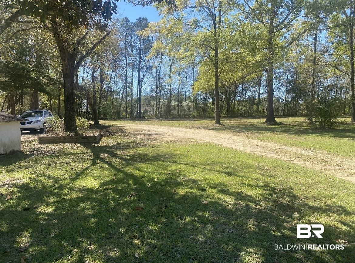 135 Mize Road Flomaton, AL 36441 - Photo 4 of 34