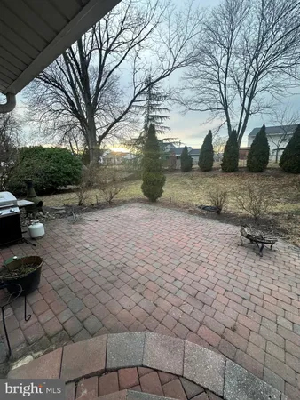 a view of yard with large trees