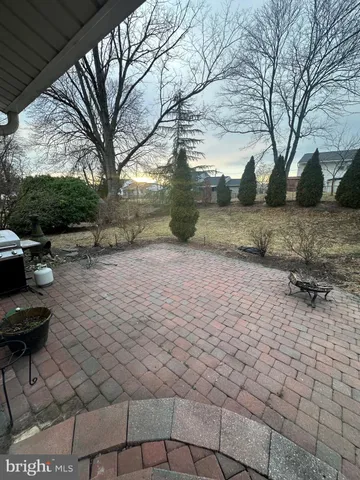 a view of yard with large trees