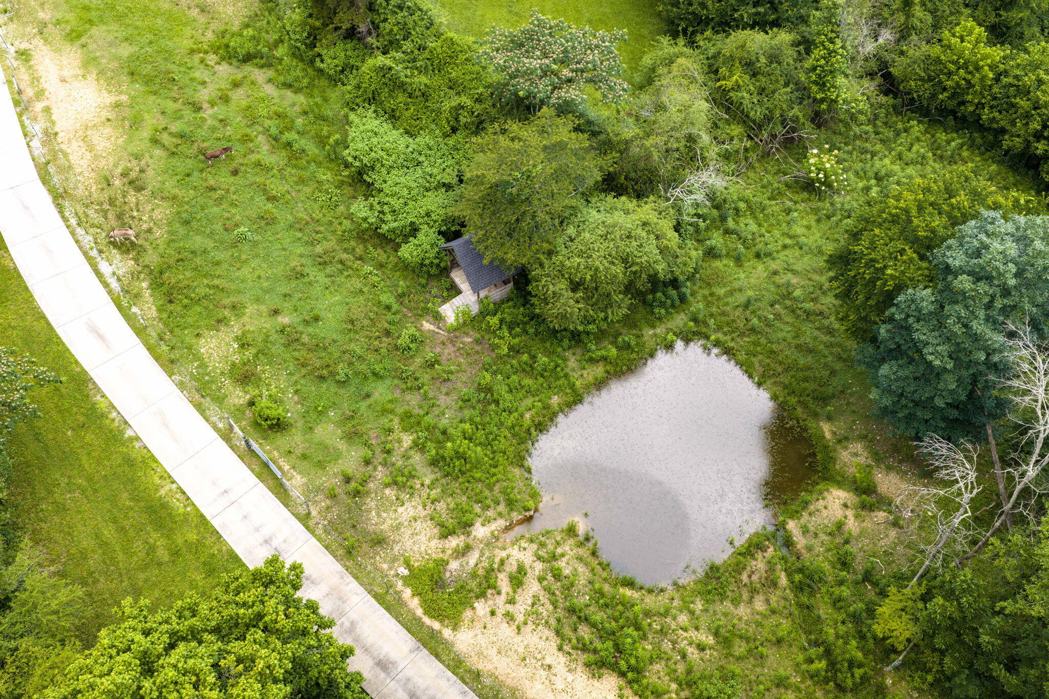 3057 Burning Bush Road Ringgold, GA 30736 - Photo 76 of 78 Large pond on property
