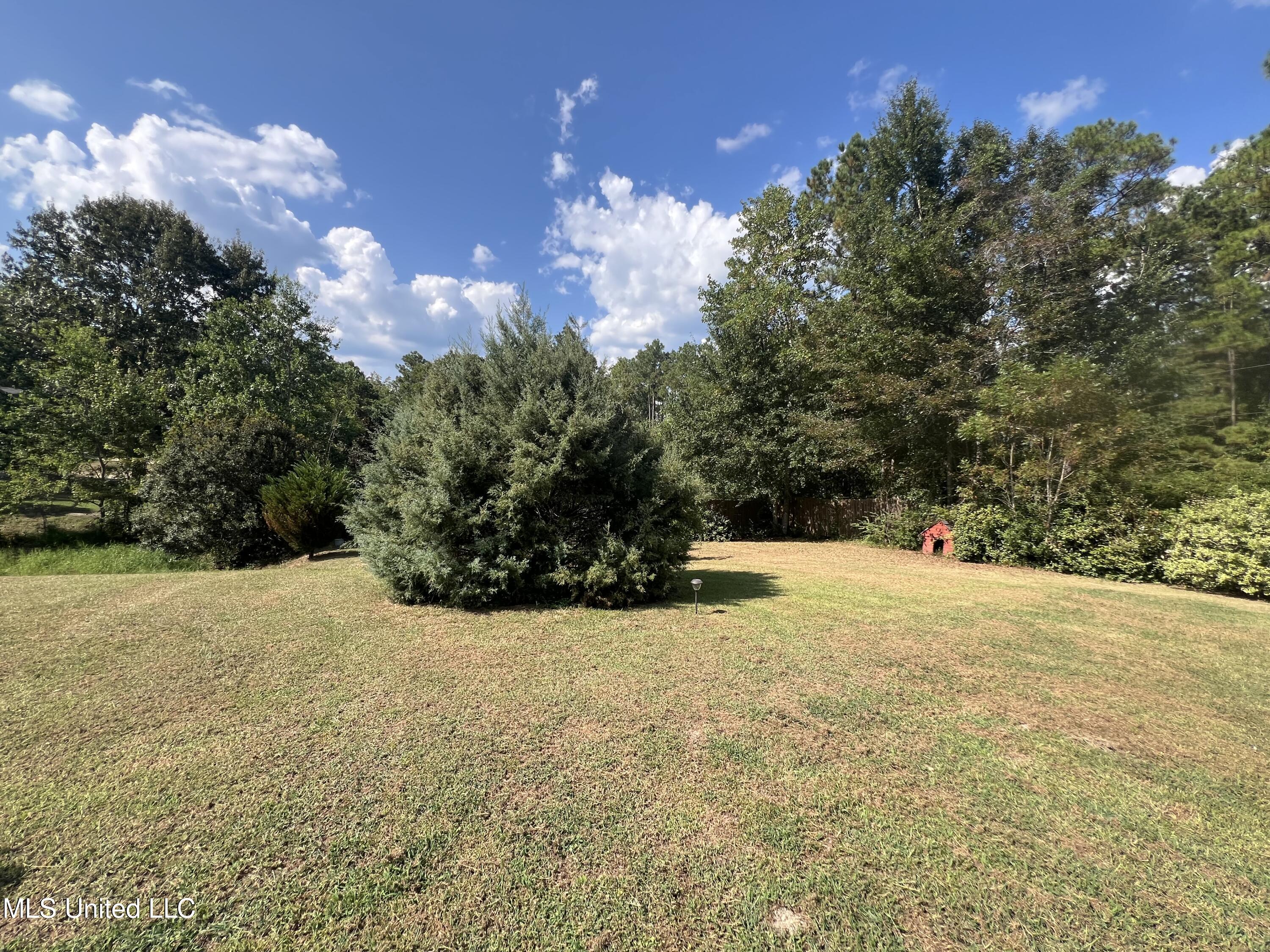 17105 Spring Lake Drive West Vancleave, MS 39565 - Photo 41 of 47 IMG_9920