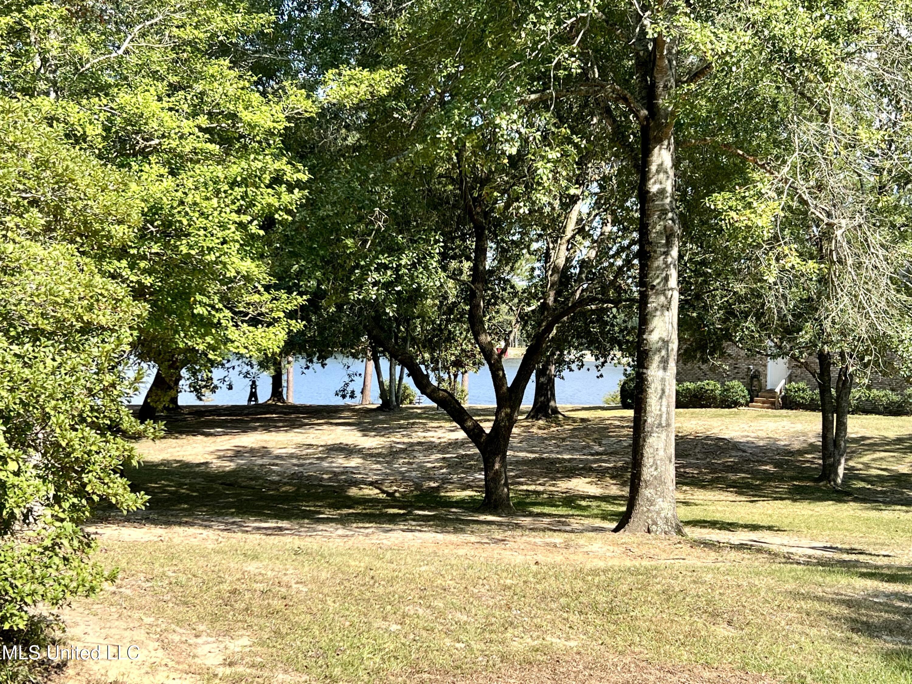17105 Spring Lake Drive West Vancleave, MS 39565 - Photo 45 of 48 IMG_9941