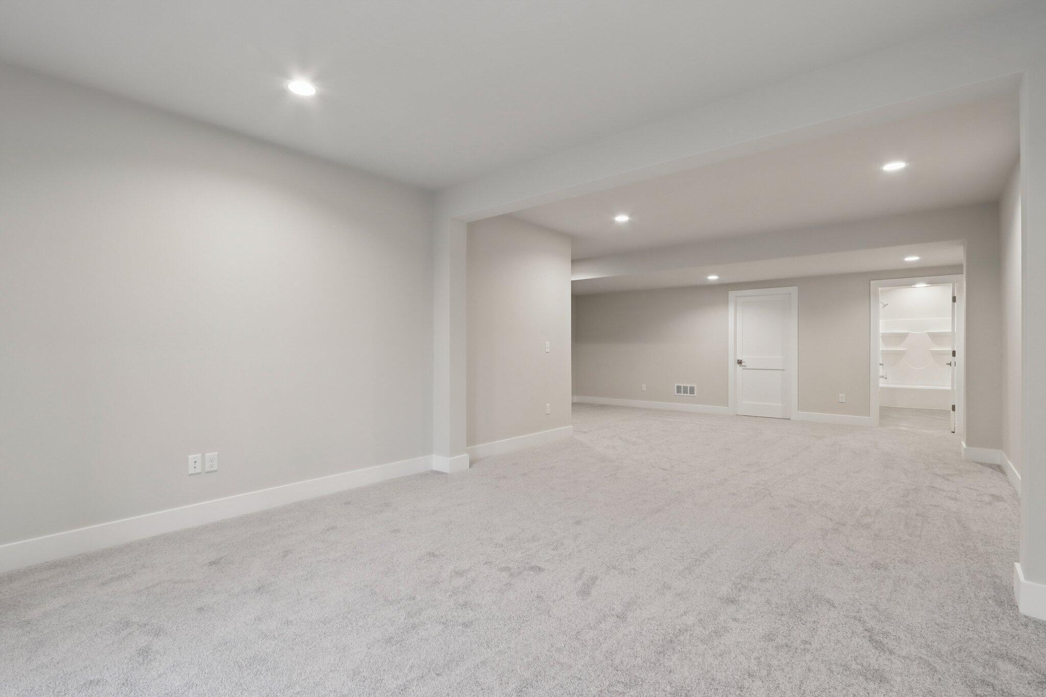 405 Falcon Ridge Drive, Unit 13 Burlington, WI 53105 - Photo 21 of 30 21. finished walkout v2