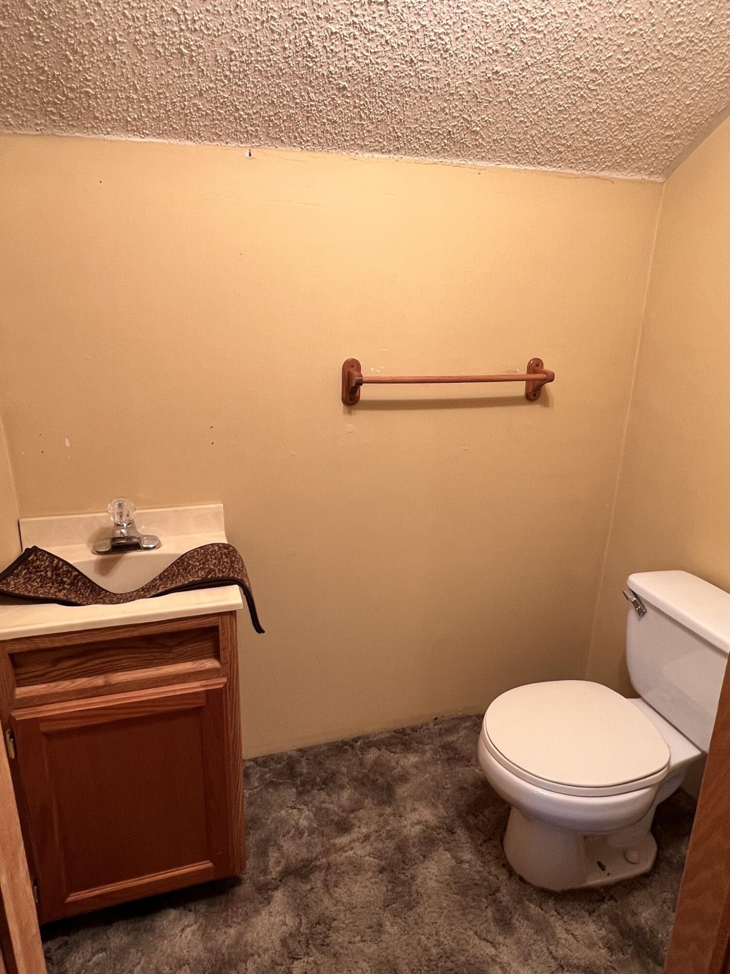 5560 Beecher Road Osseo, MI 49266 - Photo 18 of 34 5560 Beecher (19)
