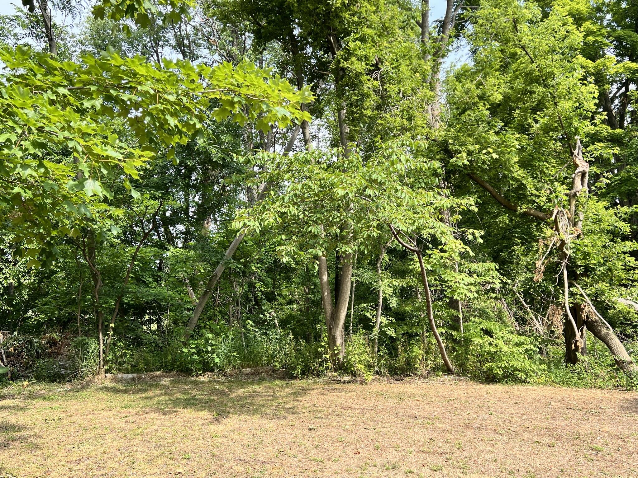 5560 Beecher Road Osseo, MI 49266 - Photo 32 of 34 5560 Beecher (30)