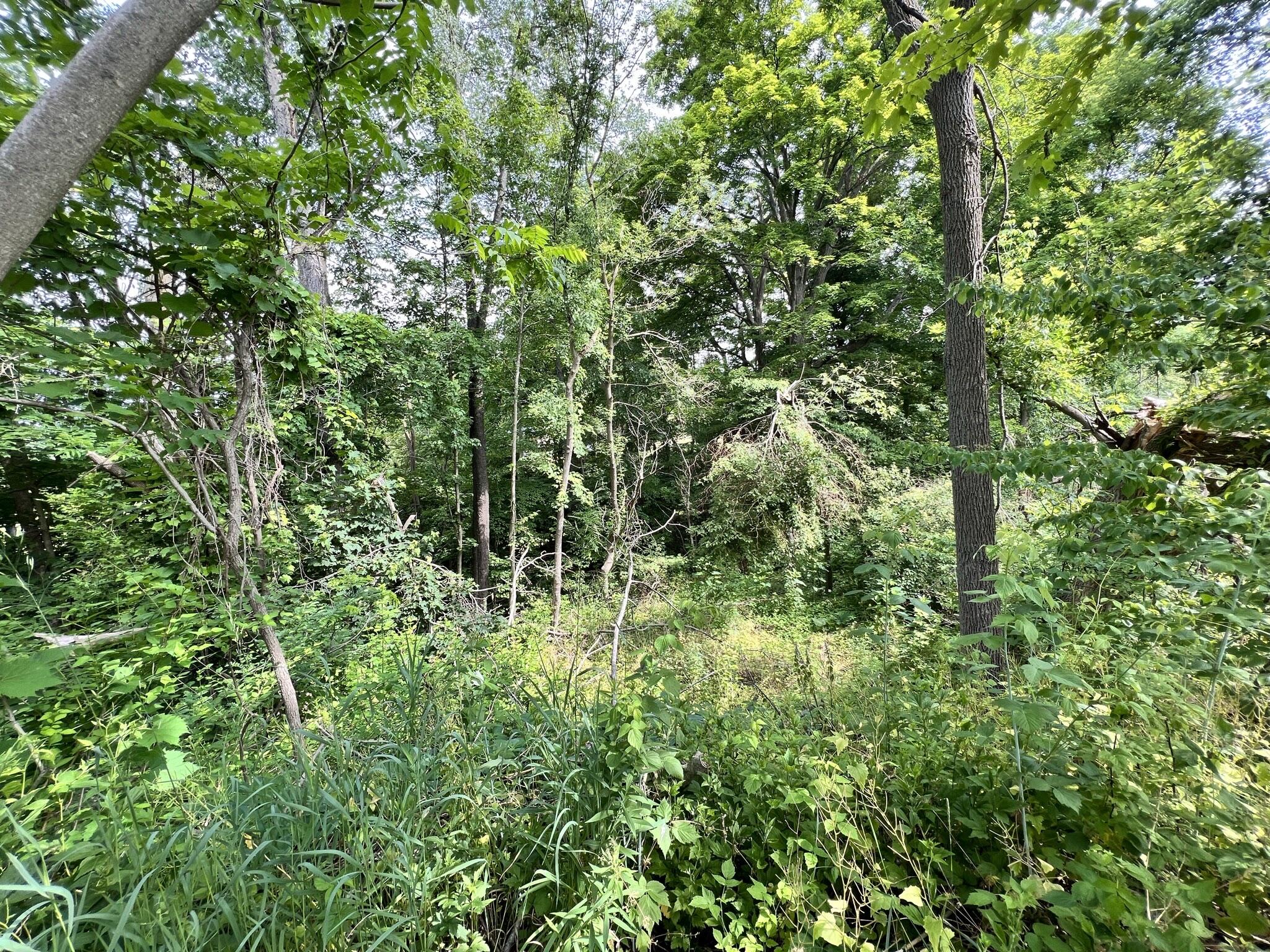 5560 Beecher Road Osseo, MI 49266 - Photo 34 of 34 5560 Beecher (32)