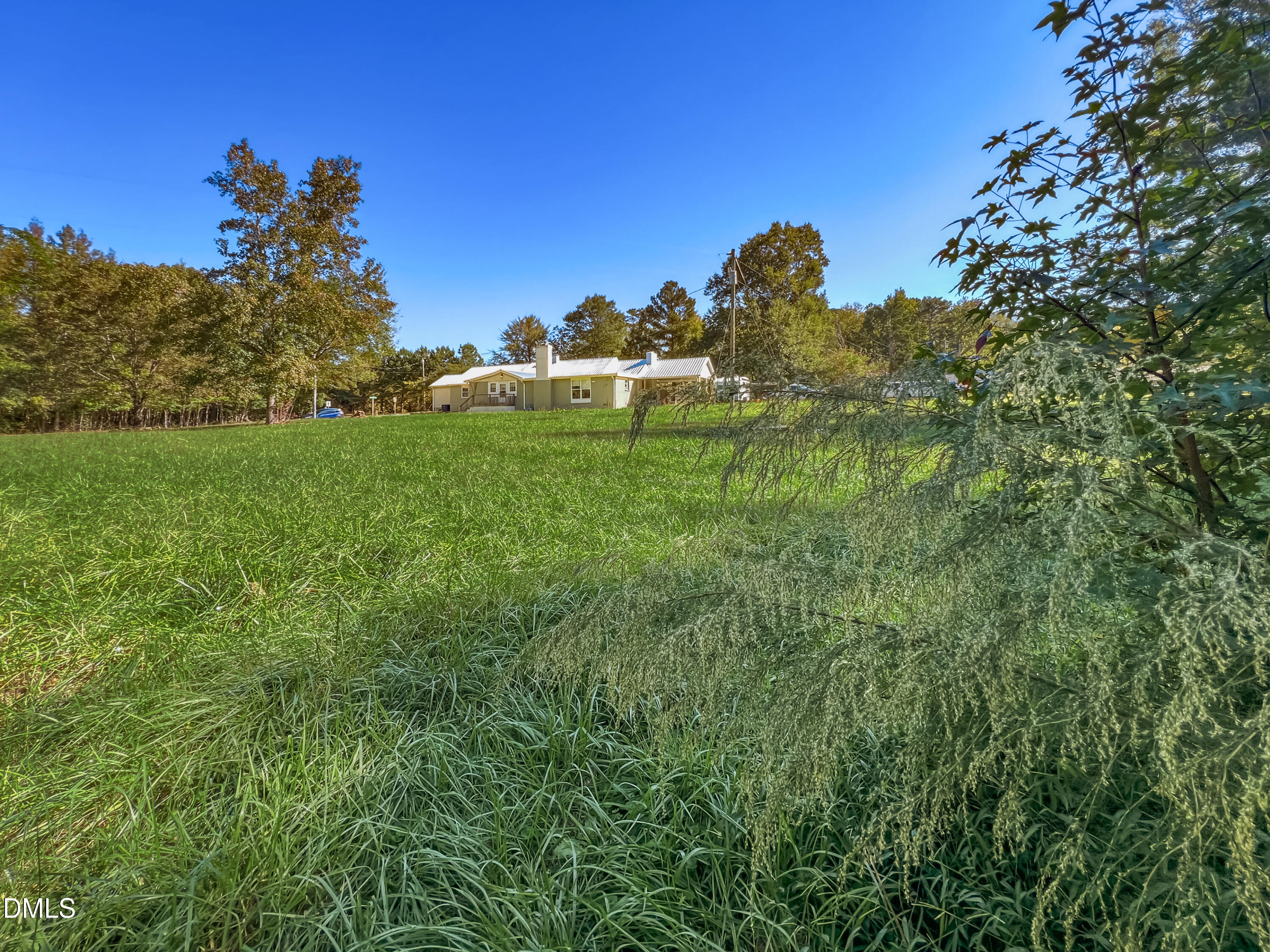 986 North Chavis Road Kittrell, NC 27544 - Photo 7 of 81