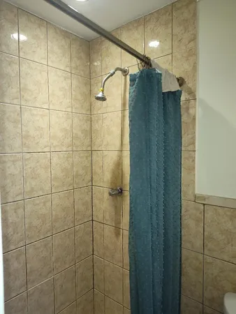 a bathroom with a shower and a glass door shower
